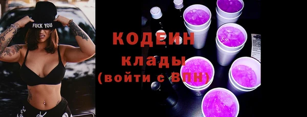 молекула духа Волосово