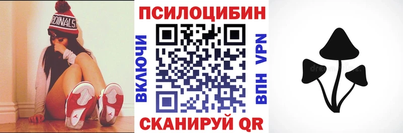 Галлюциногенные грибы мицелий  Купить закладки  Лосино-Петровский 